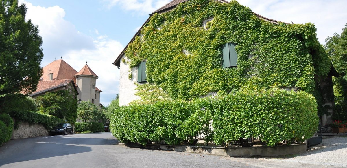Real Estate or property for sale in Geneva