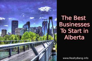 Read more about the article The Best Businesses To Start in Alberta