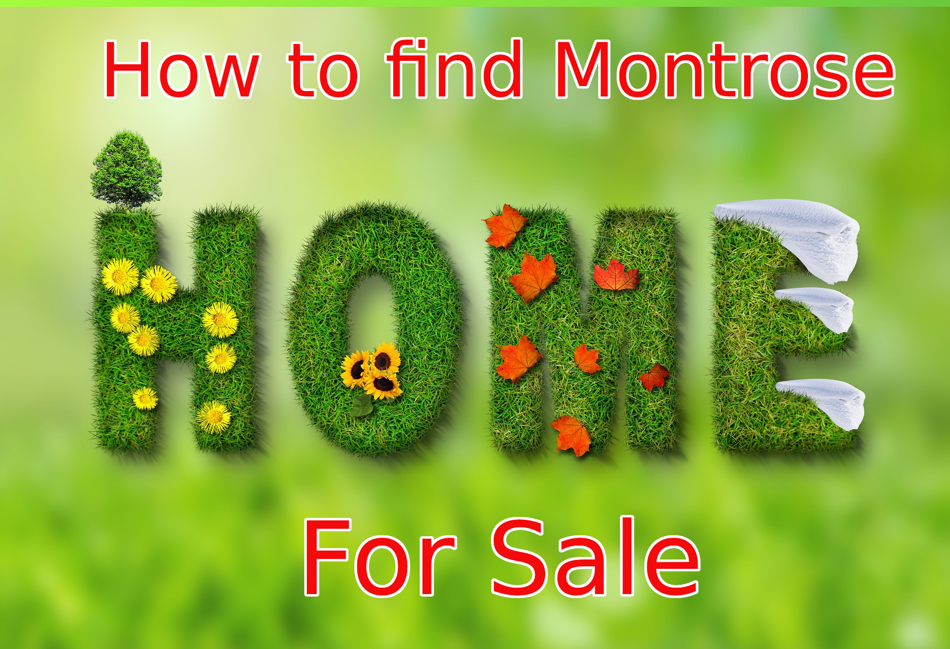 How to find Montrose Homes for Sale