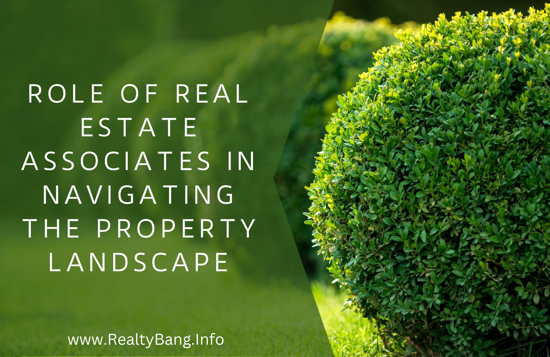 Real Estate Associates in Navigating the Property Landscape
