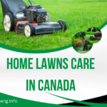 Home Lawns Care in Canada