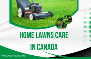 Read more about the article Home Lawns Care in Canada