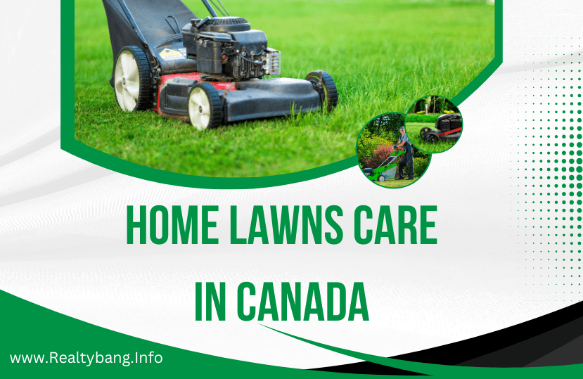 Home Lawns Care in Canada